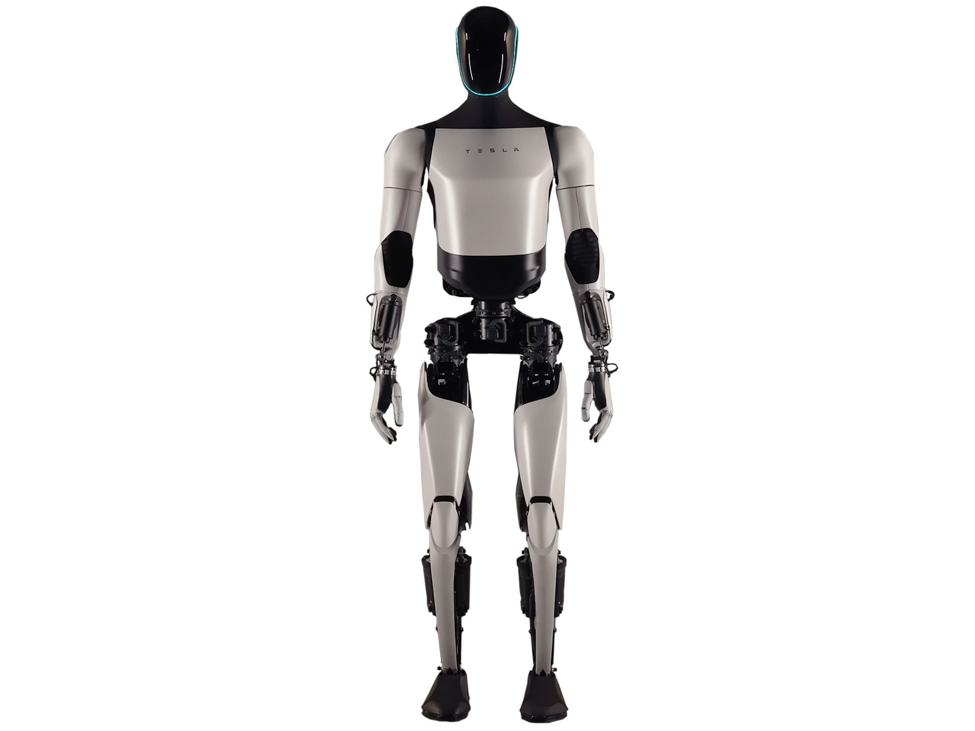 Tesla Bot (Optimus) humanoid robot